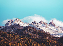 欧冠app下载-国际乒联单打世界杯 王楚钦战胜对手晋级男单八强